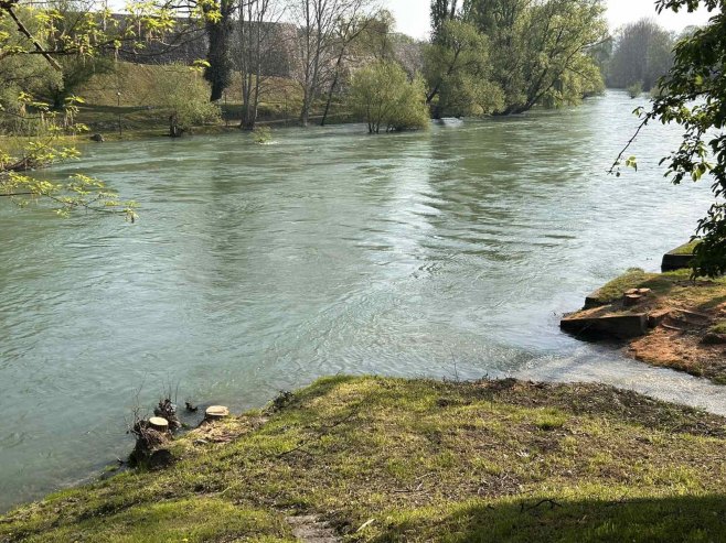 Сјеча стабала уз Врбас - Фото: РТРС