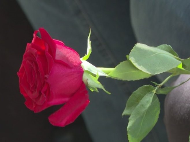 Обиљежавање у Вишеграду и Власеници - одавање почасти погинулим борцима