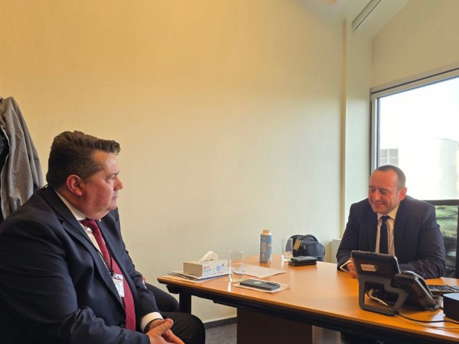 Стевандић у Стразбуру - Фото: СРНА