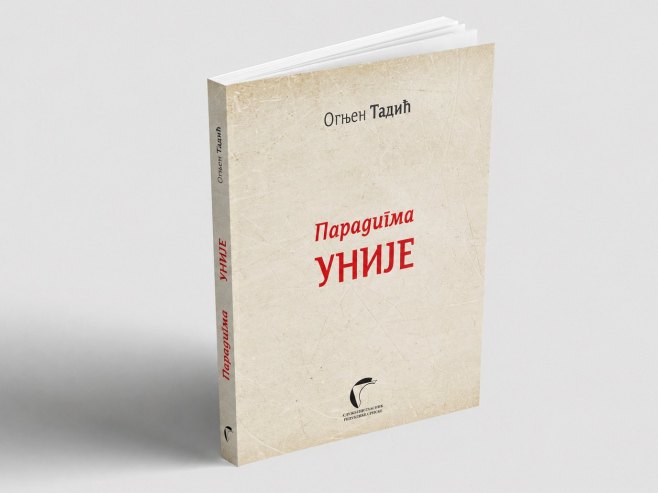 Тадићева "Парадигма уније"