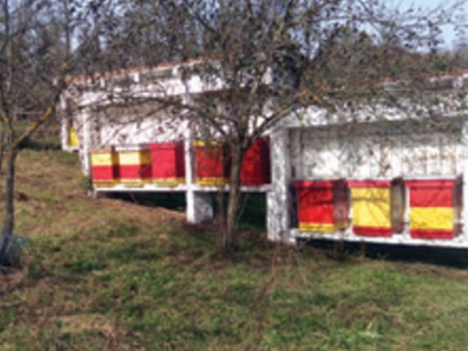 Романијски мед заштићен ознаком поријекла Романијски мед заштићен ознаком поријекла