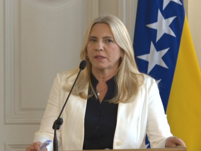 Цвијановић: Са Коштом није било приче о НАТО путу БиХ