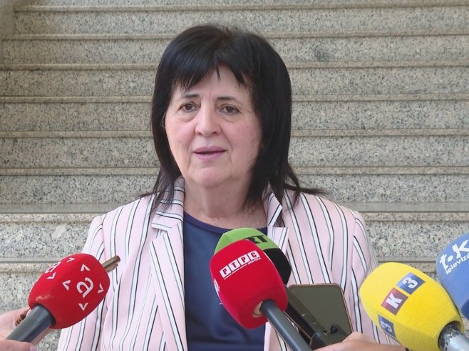 Голић: Што је више ОХР-а, мање је договора домаћих лидера