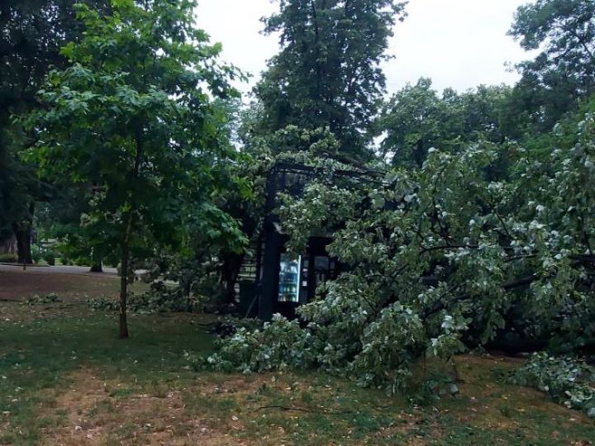 Posljedica nevremena u parku Mladen Stojanović (foto: RTRS)