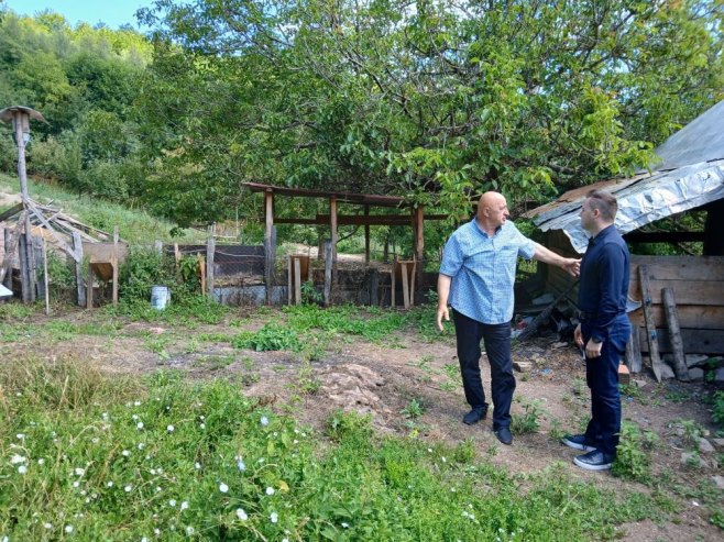 Афричка куга похарала фарму мангулица у Фочи, град помаже да се обнови узгој