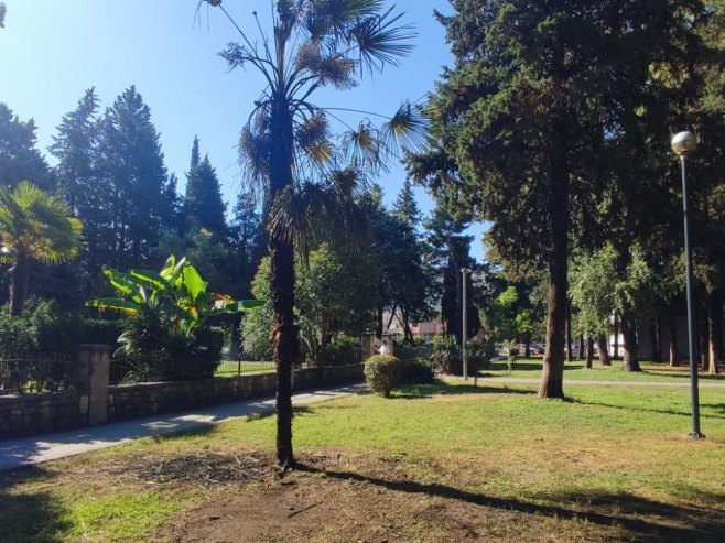 Zapaljena palma (foto: RTRS)