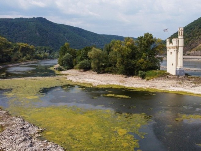 Рекордно низак водостај Рајне у Келну