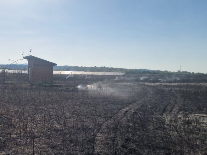 Požar u Aleksandrovcu (foto: RTRS)