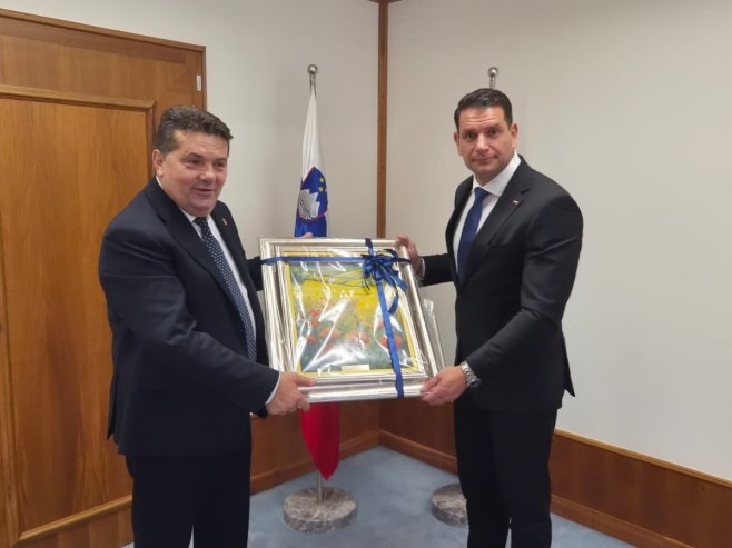 Стевандић у Словенији: Парламентарна дипломатија механизам који чува мир и безбједност (ВИДЕО)