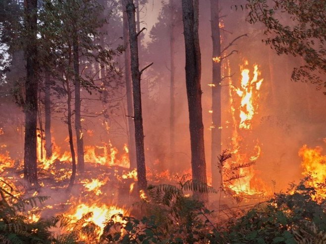 Угашен пожар на Ртњу који је избио 18. септембра, у Србији активно пет пожара