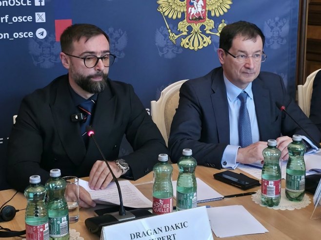 Дакић у ОЕБС-у: Отворена питања Шмитових наметања и укидања финансирања странака