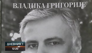 Дневник 1