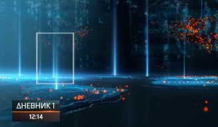 Дневник 1