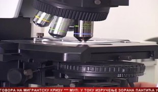 Српска Данас