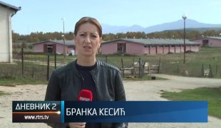Дневник 2