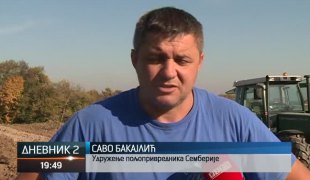 Дневник 2