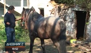 Дневник 2