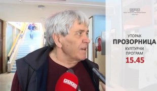Прозорница