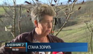Дневник 2