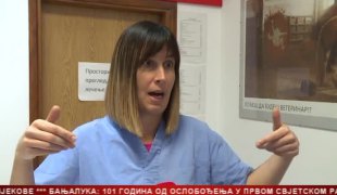 Српска Данас