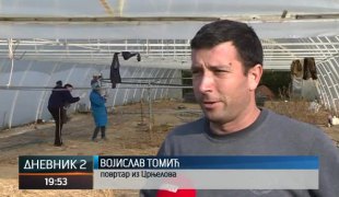 Дневник 2