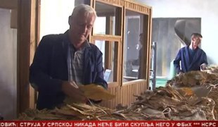 Српска Данас