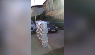 Вијести