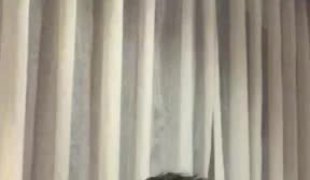 Вијести