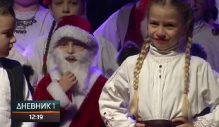 Дневник 1