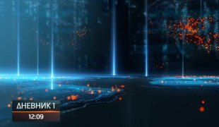 Дневник 1