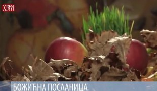 Вијести