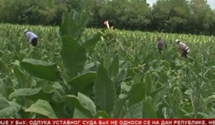 Српска Данас