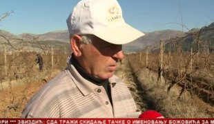 Српска Данас