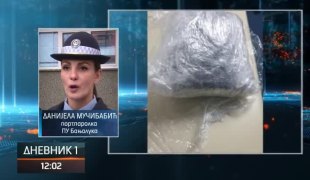 Дневник 1