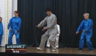 Дневник 2