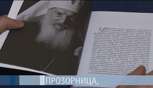 Прозорница