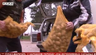 Српска Данас