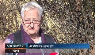 Дневник 2