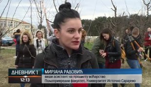 Дневник 1