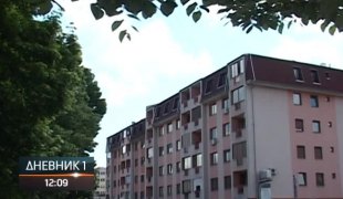Дневник 1