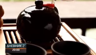 Дневник 2