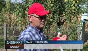 Дневник 1