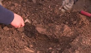 Квадрат на знање