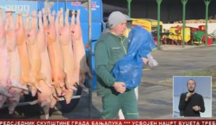 Српска Данас