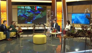 Јутарњи програм