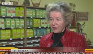 Јутарњи програм
