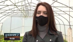 Дневник 2