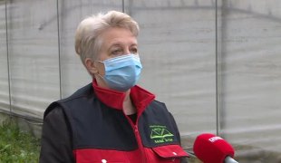 Јутарњи програм