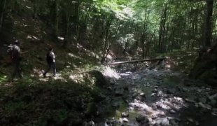 Јутарњи програм