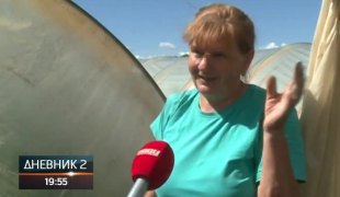 Дневник 2